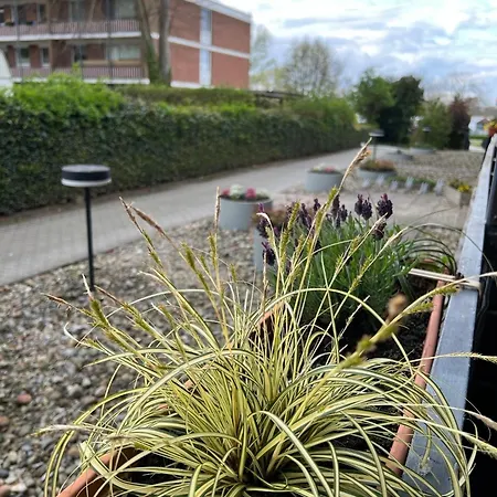 Apartamento Pino Whg Nr 8 *